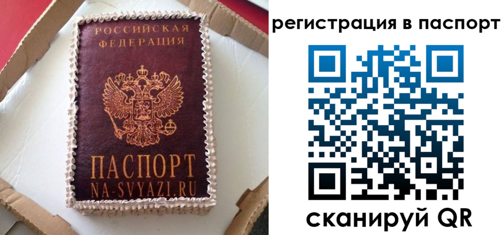 где прописаться в Мытищах